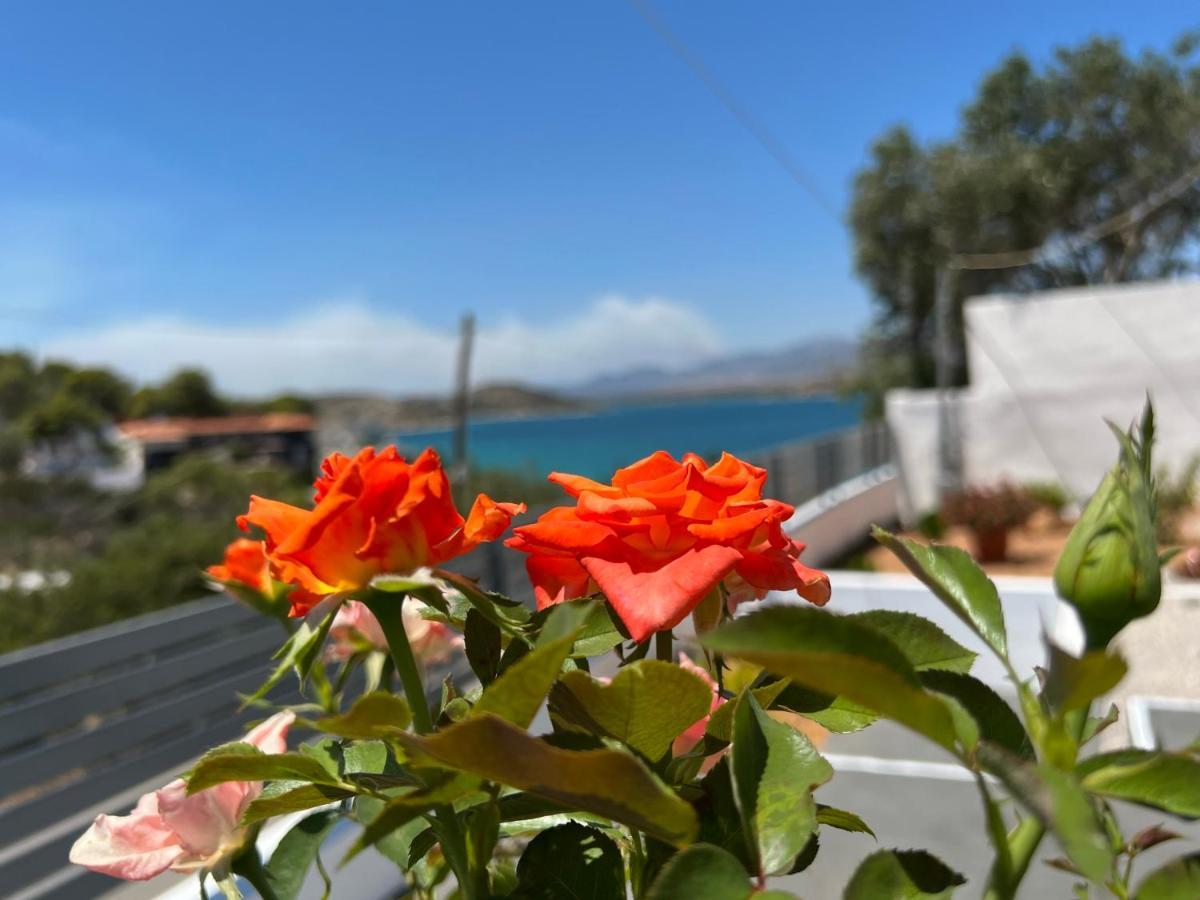 Oceanus Summer House Саламис Екстериор снимка